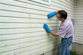 Best Siding Removal and Disposal  in Jasper, GA